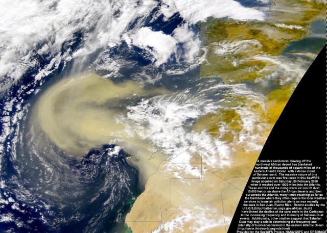 seawifs_canary_duststorm_large